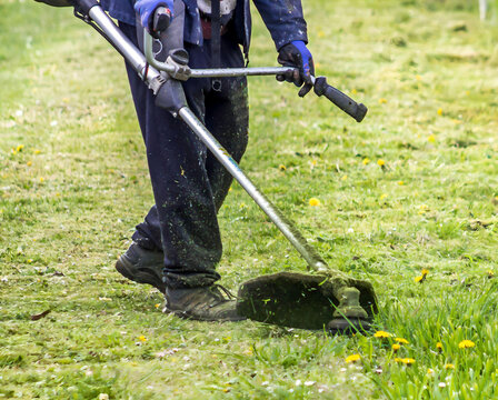 The gardener cutting grass by lawn mower.
