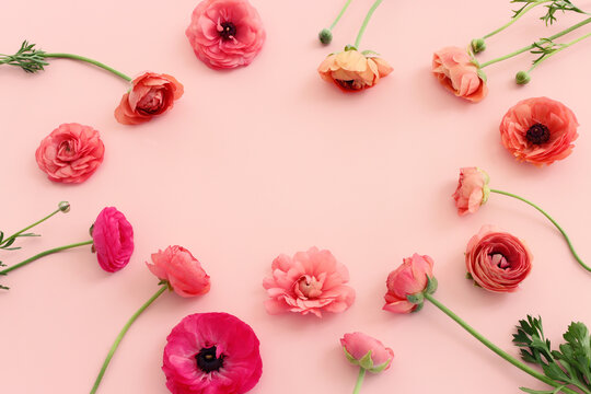 Top view image of pink flowers composition over pastel background