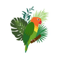 Cute cartoon parrot with different palm and monstera leaves in bright colors. Parrot vector illustration isolated on white background