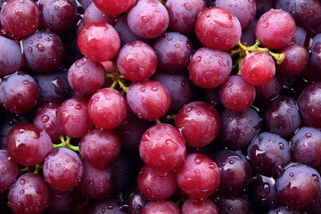 Close up of fresh grapes with water drops - obrazy, fototapety, plakaty