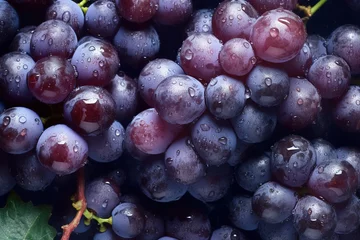 Fotobehang Close up of fresh grapes with water drops © IMAGE
