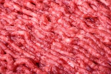 Raw ground beef or pork on a wooden cutting board with spices and salt