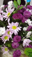 A bunch of white pink and purple flowers