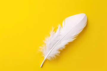 white feather on yellow background, copy space