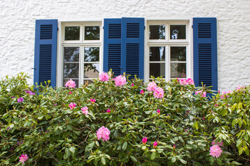 Fototapeta na wymiar Old German house with wooden windows with wooden shutters and rhododendron