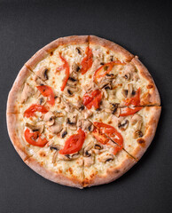 Delicious pizza with chicken, tomatoes and cheese with salt and sauce