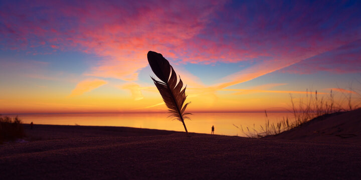 Whispers of the Sea: Sunset Serenade with a Feather on Baltic Shores. Sea shore scenery.