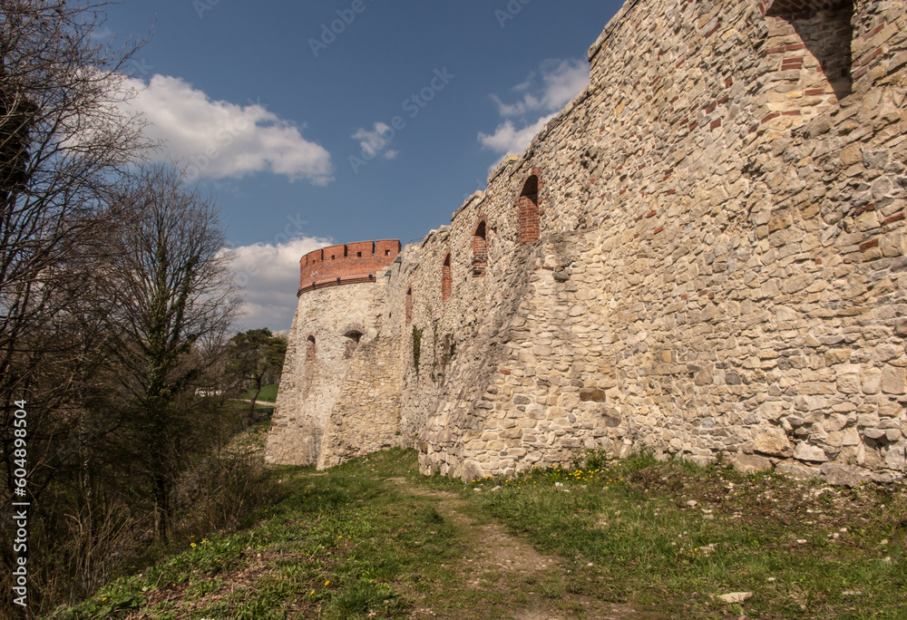 Poster Tenczyn Castle (castle ruins, fragments of walls) in the village of Rudno, near Krakow in Poland