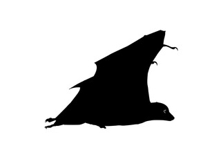 Silhouette of the Flying Fox or Bat for Art Illustration, Icon, Symbol, Pictogram, Logo, Website, or Graphic Design Element. Vector Illustration