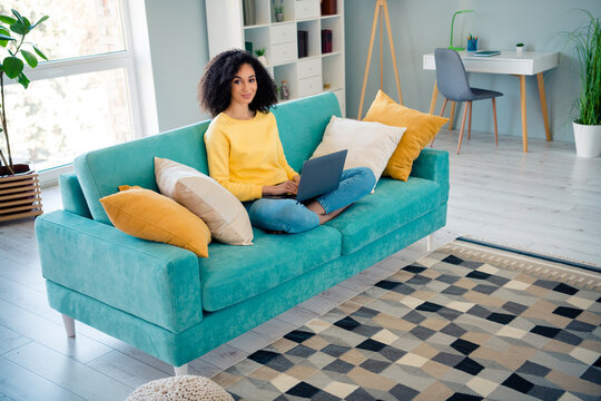 Full length portrait of charming positive person sit sofa use netbook enjoy free time house indoors