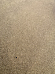 Full frame picture of sand on a beach.