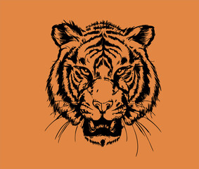Tiger head hand drawn illustration design, pencil stroke style