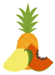 Papaya pineapple mango slice composition. Summer exotic fruits textured. Hand drawn organic vector illustration