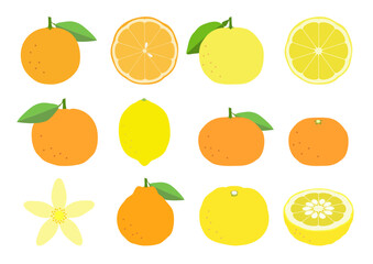 Set of citrus fruits icons