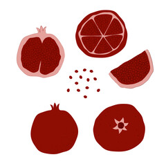 Pomegranate slice seed. Summer fruits textured. Hand drawn organic vector illustration