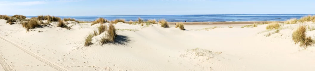 Gartenposter Panoramic image of sand dunes on the North Sea coast © kelifamily
