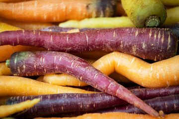 Farmer's market crop in Puglia Italy - rainbow carrots common in Italian cuisine mixed with seasonal vegetables - obrazy, fototapety, plakaty
