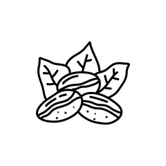 Handrawn vector Coffee bean on White Isolated background in doodle style