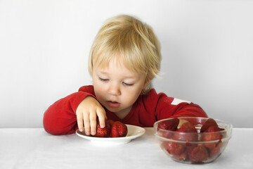 Little child eating strawberries