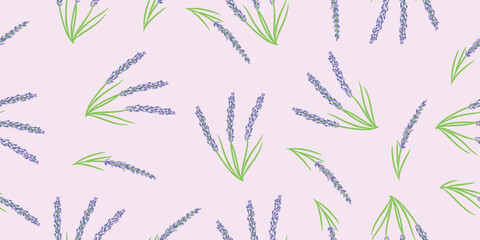 Seamless patter with beautiful lavender on lilac background