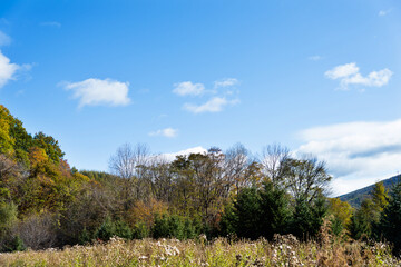 Obraz premium The mountain autumn landscape under blue sky