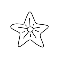 Outlined Star fruit, star fruit doodles,  line art vector illustration.