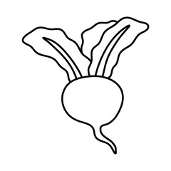 Vegetable root. Beetroot with leaves. Vector illustration. Linear hand drawing, outline