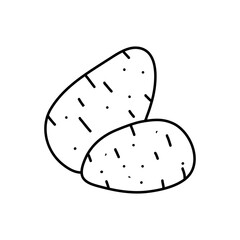 Vector hand drawn potato outline doodle icon. Starch sketch illustration for print, web, mobile and infographics isolated on white background