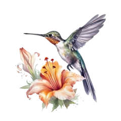Crédence de cuisine en verre imprimé Colibri Watercolor Bird Hummingbird Flying Around the Fuchsia Flowers Summer Garden Illustration Set isolated on transparent background. Ai generative.