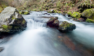 Mossy rocks in stream with smooth flowing water