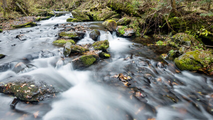 Mossy rocks in stream with smooth flowing water