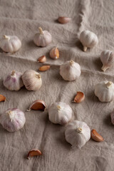 Raw Organic White Garlic Bulbs on a cloth, side view.