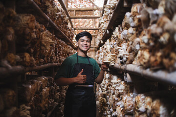 Excited Asian man owner of the oyster mushroom farm showing thumbs up. Asian young man smiling to camera standing in blocks of oyster mushrooms. 