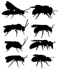 wasp, hornet, bee, bug, insect, silhouette, pest, fly, honeybee, honeycomb, art, artistic, artwork, background, black, cartoon, collection, mascot, nature, summer, symbol, template, vector