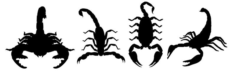scorpion, poison, silhouette, animal, dangerous, icon, nature, mascot, infection, zodiac, astrology, horoscope, tattoo, poisonous, attention, wildlife, danger, symbol, design illustration