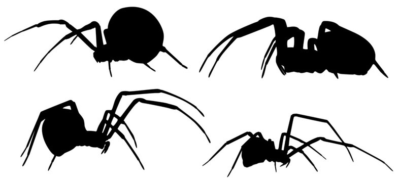 Set Vector collections big spider silhouette animal icon illustration