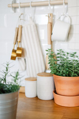 Different aromatic potted herbs and various utensils on wooden kitchen table