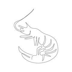 continuous line drawing of shrimp. Vector illustration on white background.