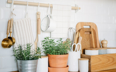 Different aromatic potted herbs and various utensils on wooden kitchen table