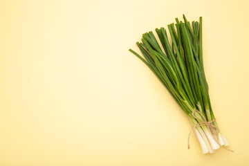 Fresh green onion on beige background. Space for text