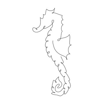 Seahorse. Sea horse single icon in outline style vector symbol stock illustration web.