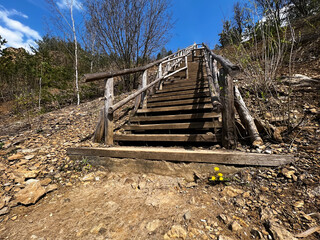 Fototapeta na wymiar Wooden stairs in the Grodek park, near Jaworzno in Poland