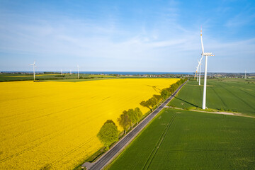 Wind farm located next to a flourishing rapeseed field. Puck Bay in the background.