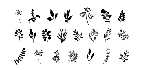 Fototapeta na wymiar Bundle of detailed botanical drawings of blooming wild flowers. Black and white doodle blossom. Decorative floral elements set. Vector illustration