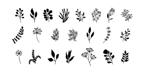 Obraz na płótnie Canvas Bundle of detailed botanical drawings of blooming wild flowers. Black and white doodle blossom. Decorative floral elements set. Vector illustration