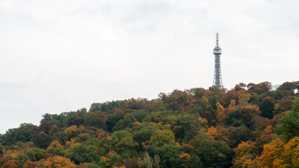 Obraz premium tv tower on a foresty hill