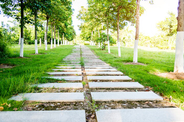 Stone steps in the garden