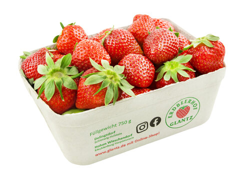 Deutsche frische Erdbeeren mit Schale vom Erdbeerhof Glantz und Hintergrund transparent PNG cut out