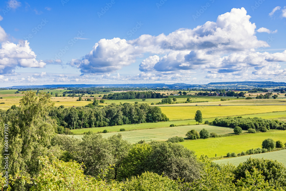 Wall mural Rural landscape view with green fields in the summer