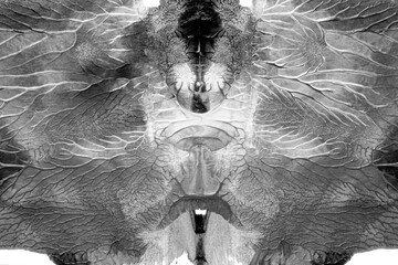 black white abstract acrylic painting color texture on white paper background by using rorschach...